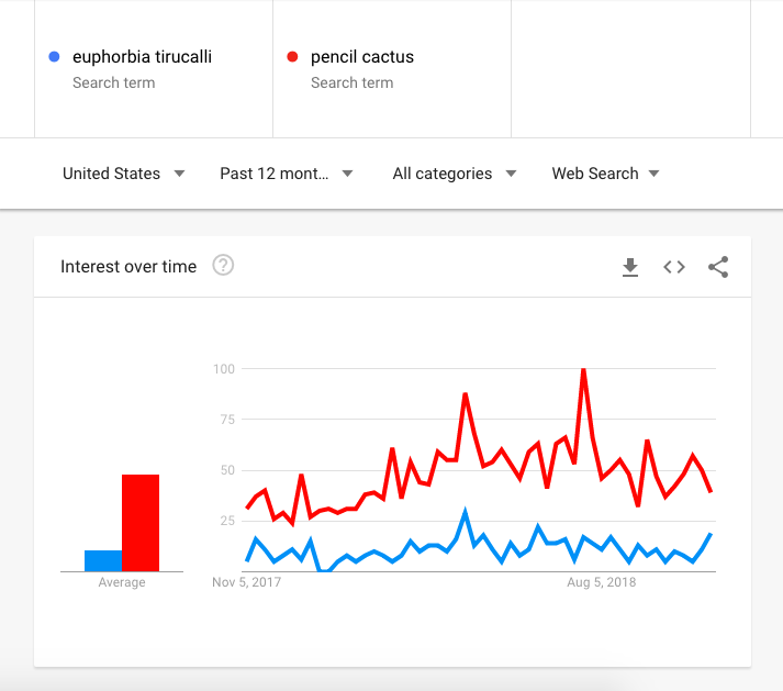 Google Trends Screenshot